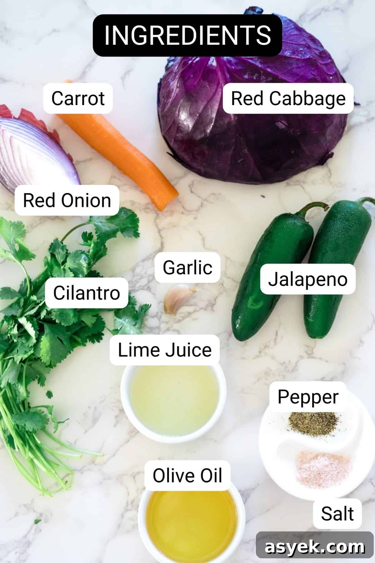 Purple Cabbage Coleslaw Recipe with Zesty Dressing 3 A group of vegetables and a bowl of purple coleslaw.