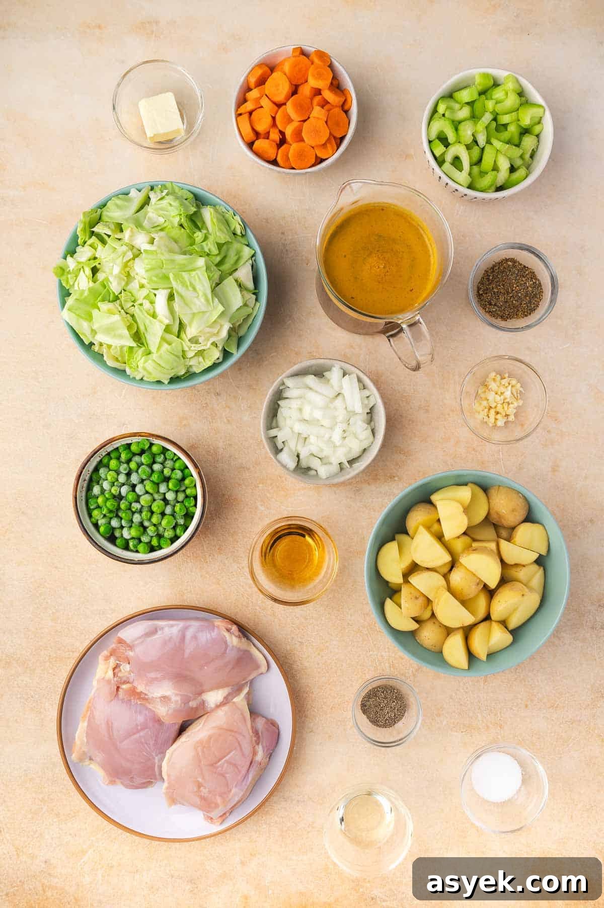 Ingredients needed to make chicken and cabbage soup.