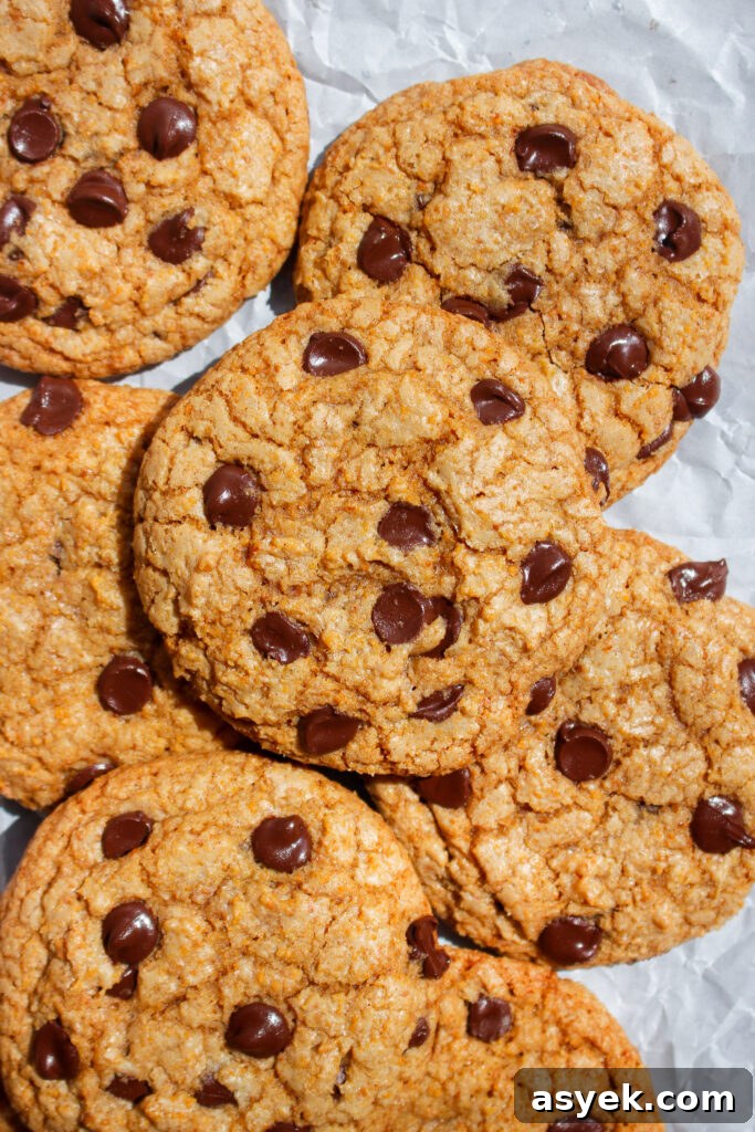 Crispy Graham Cracker Chocolate Chip Cookie Recipe 2 Graham Cracker Chocolate Chip Cookies on a plate