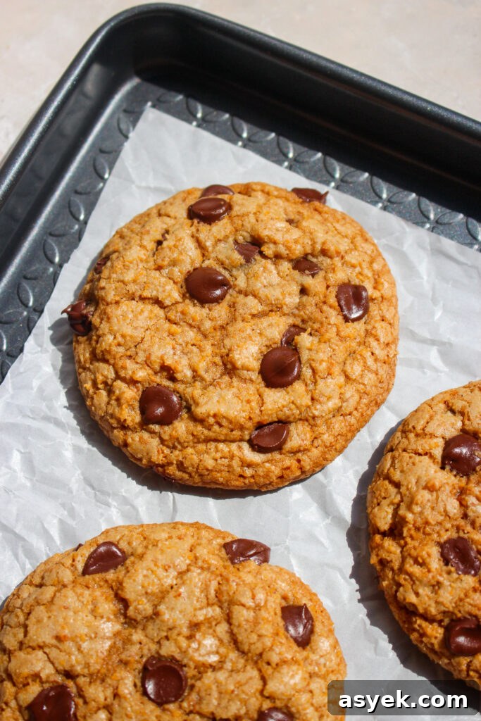 Crispy Graham Cracker Chocolate Chip Cookie Recipe 10 Cookies arranged on a board