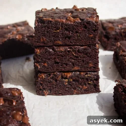 Crispy Graham Cracker Chocolate Chip Cookie Recipe 11 Zucchini Brownies