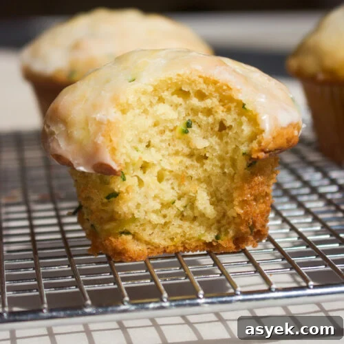 Crispy Graham Cracker Chocolate Chip Cookie Recipe 12 Lemon Zucchini Muffins