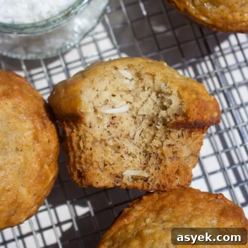 Crispy Graham Cracker Chocolate Chip Cookie Recipe 14 Coconut Banana Muffins