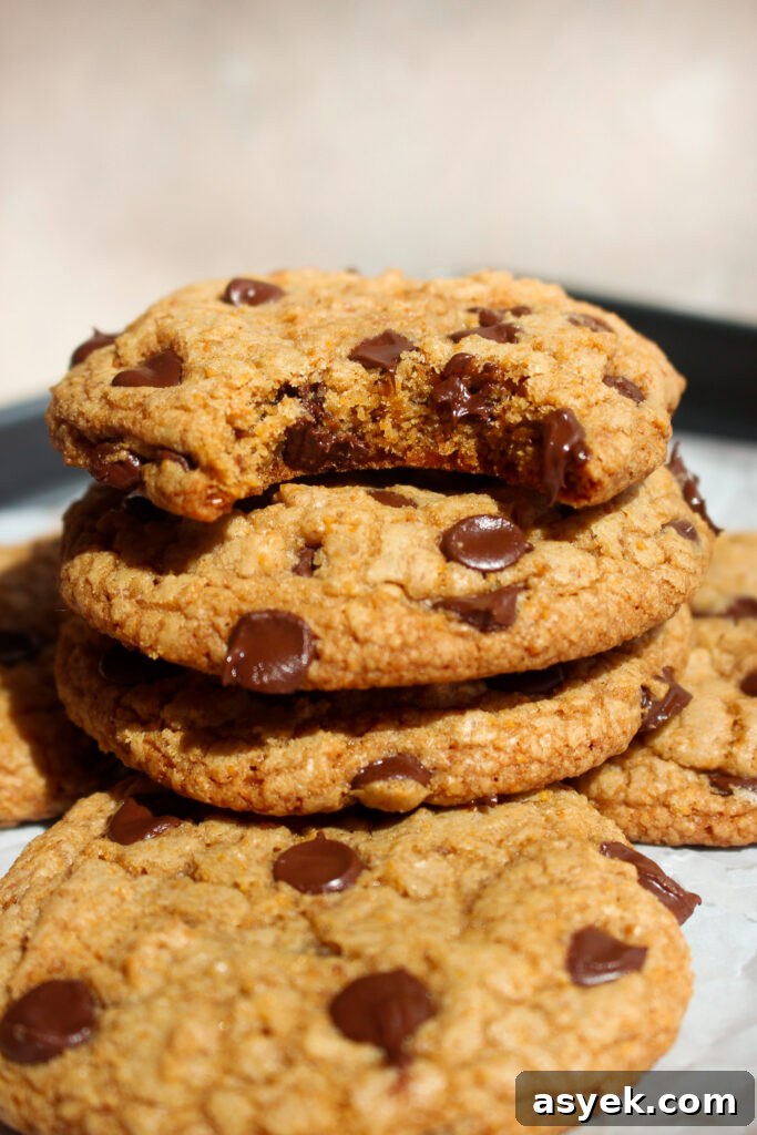 Crispy Graham Cracker Chocolate Chip Cookie Recipe 3 Cookie dough with chocolate chips