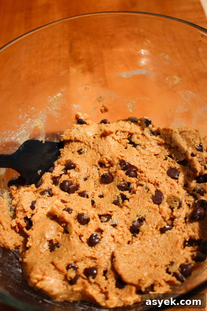 Crispy Graham Cracker Chocolate Chip Cookie Recipe 7 Baked cookies cooling on wire rack