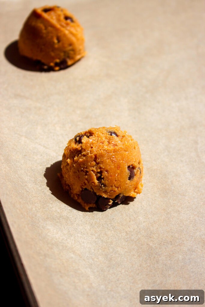 Crispy Graham Cracker Chocolate Chip Cookie Recipe 8 Finished graham cracker chocolate chip cookies