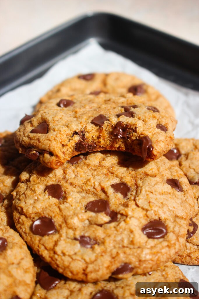Crispy Graham Cracker Chocolate Chip Cookie Recipe 9 Cookies stacked with chocolate chips visible