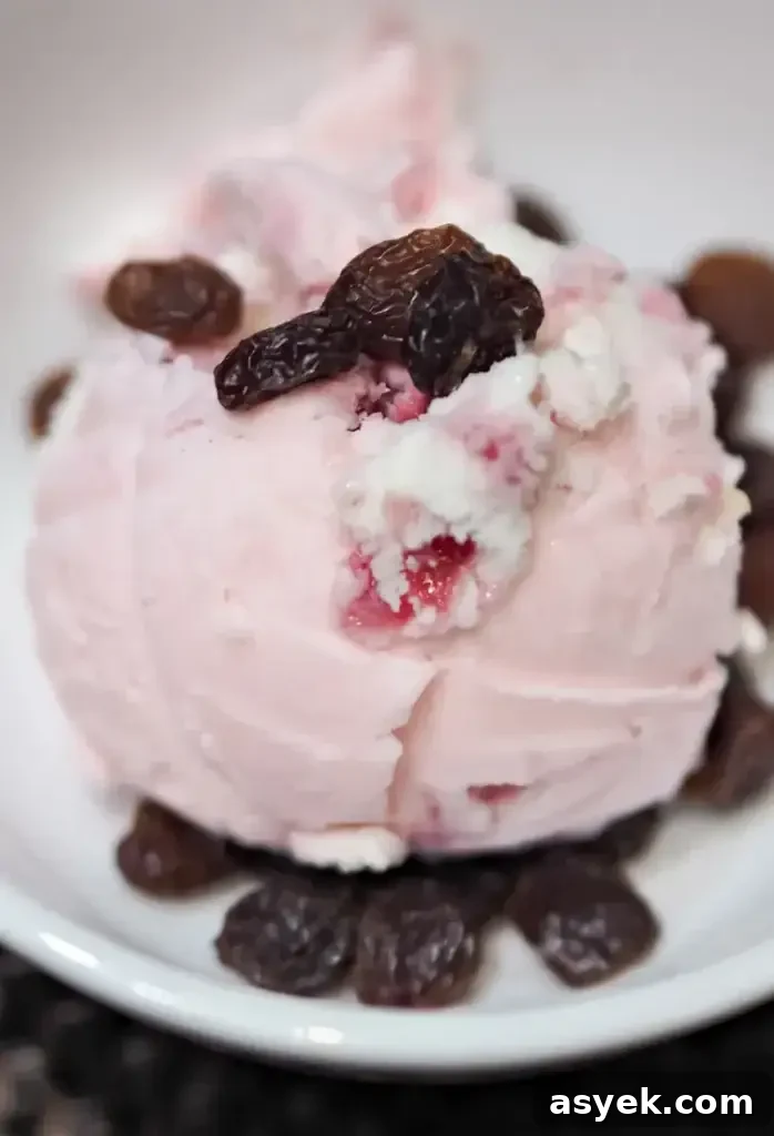 Blueberry Muffin Ice Cream