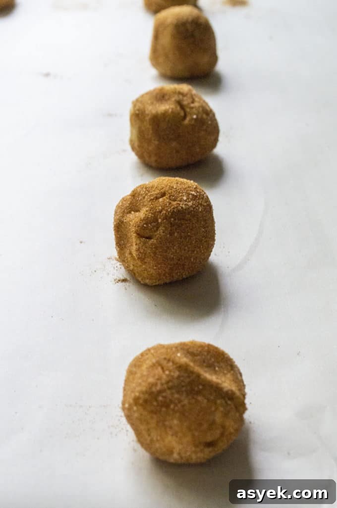 rolled snickerdoodle cookie dough