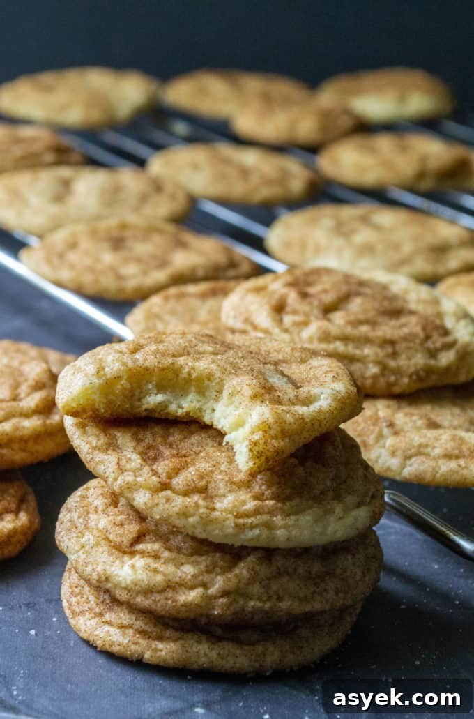 stacked snickerdoodles with bite taken out