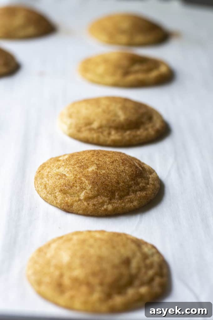 baked chewy snickerdoodle