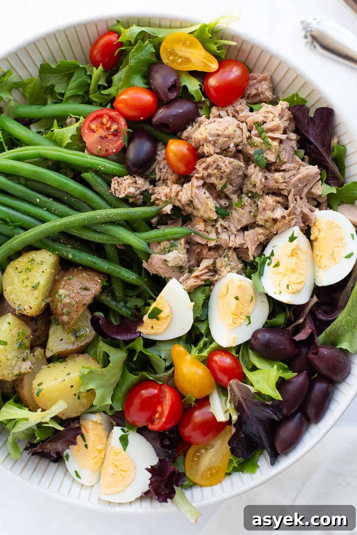 Salad Nicoise Recipe overhead shot of salad arranged in white bowl.
