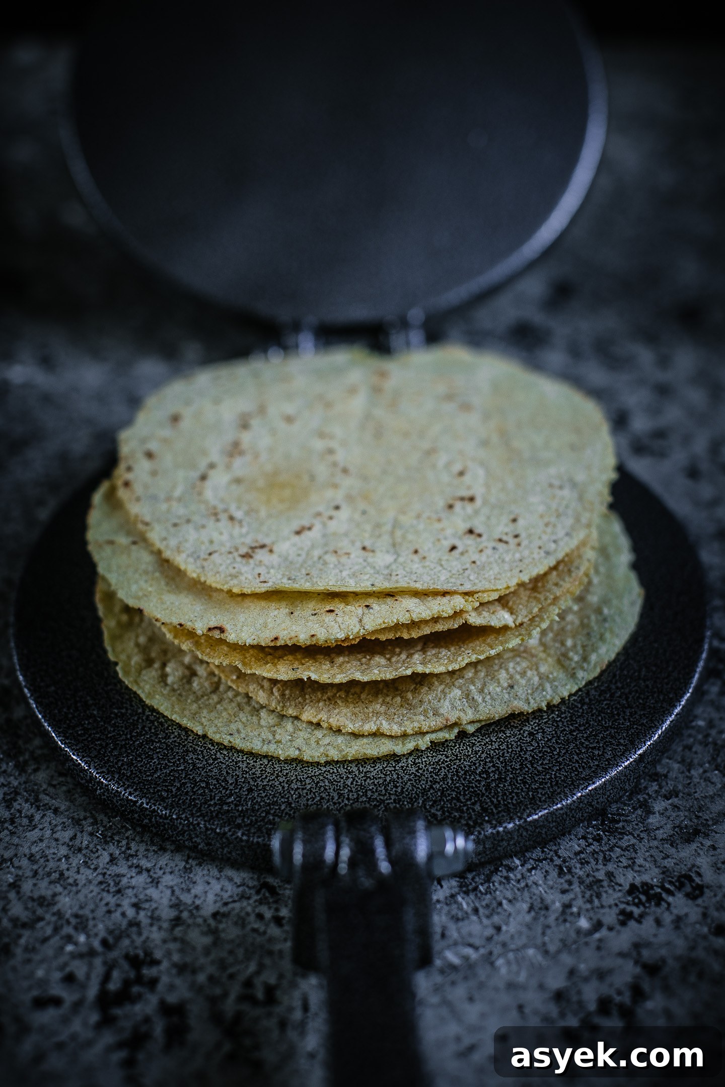 Homemade Corn Tortilla Recipe Homemade Corn Tortilla Recipe