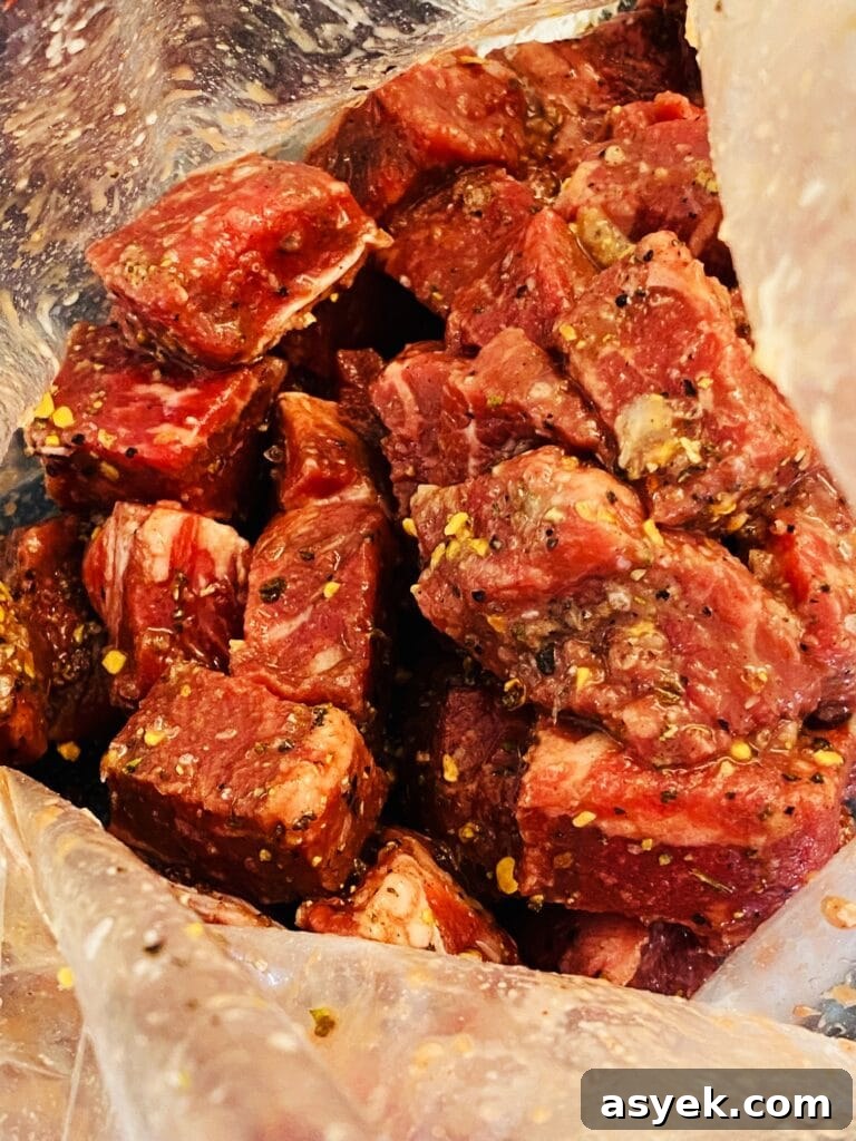 Blackstone Steak and Mushroom Quesadilla Recipe 4 seasoned steak in a bag