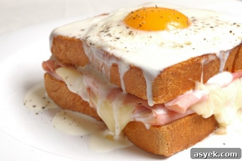 croquemadame1