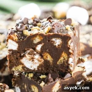Decadent S'mores Fudge Recipe 7 closeup of s'mores fudge square