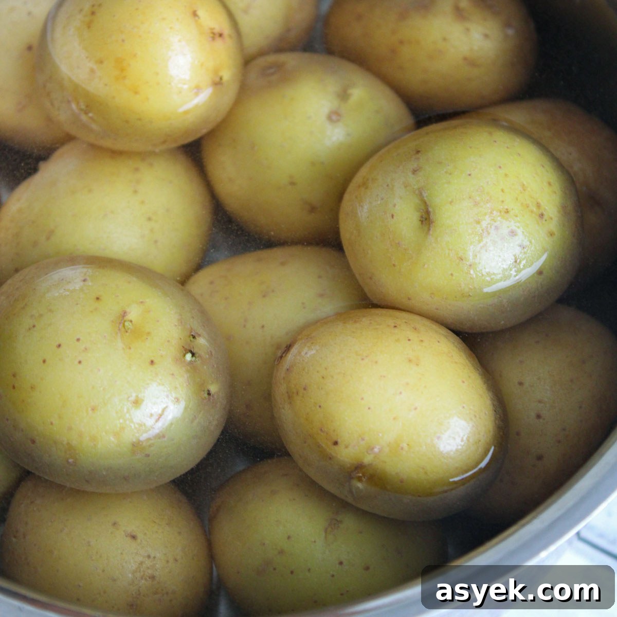 Crispy Air Fryer Smashed Potatoes with Garlic and Herbs 4 Boiling small golden Yukon potatoes in a medium sized pot.