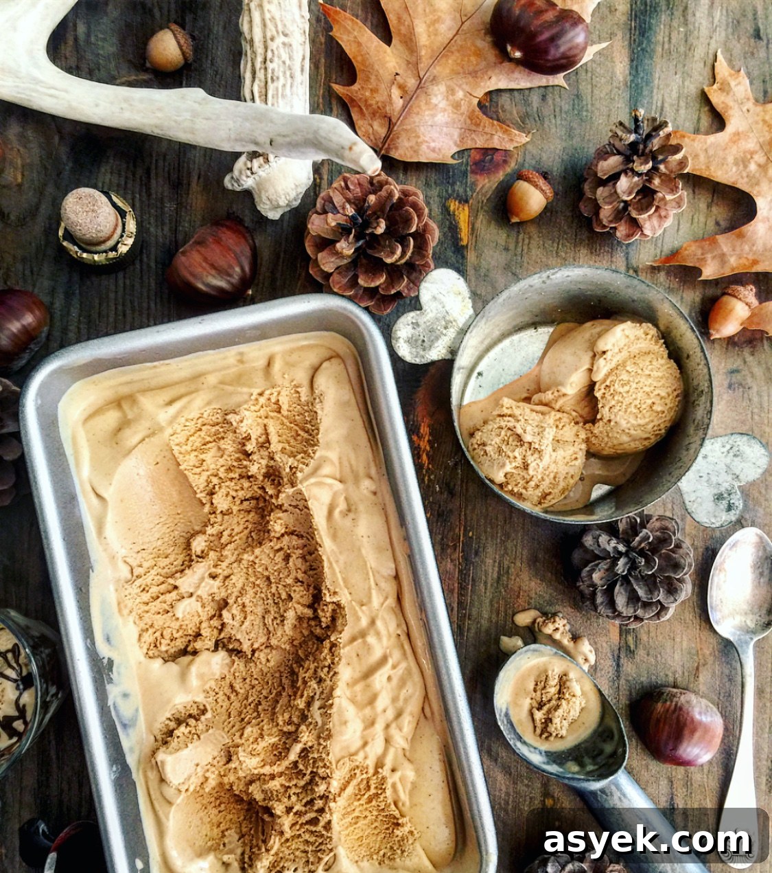 Roasted Chestnut Ice Cream