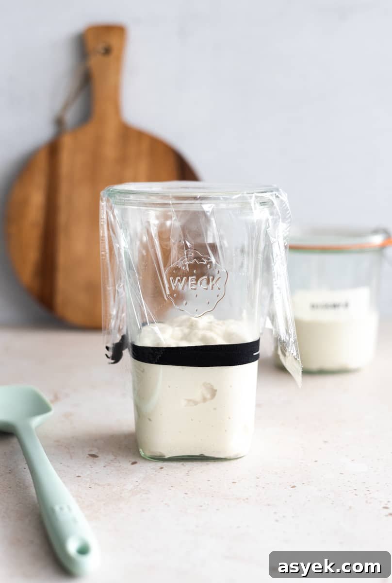 Sourdough starter in a glass jar covered with plastic wrap. 
