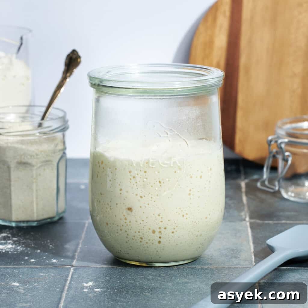 Sourdough Discard: What It Is and How to Use It 4 Sourdough starter in a glass jar.