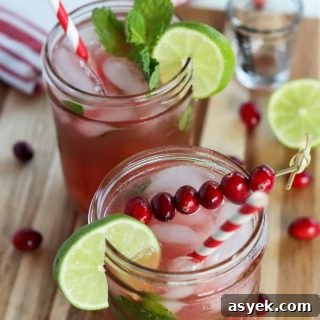 2 cranberry mojitos served in mason jars and garnished with lime, mint, and cranberries.