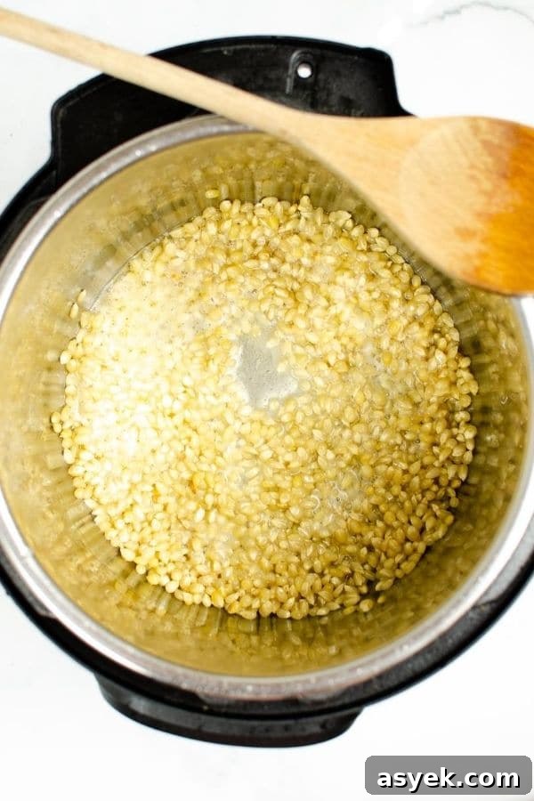 Instant Pot Monster Munch Popcorn Recipe 3 instant pot with corn kernals