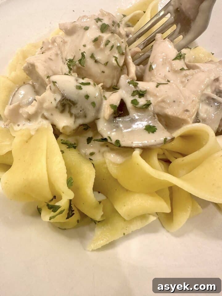 A plate of pasta with mushroom and chicken stroganoff on top.