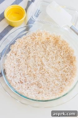 5-Ingredient Paleo Chocolate Pie Recipe with Coconut Crust 3 img 67705 3