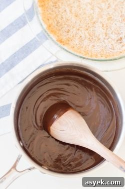 5-Ingredient Paleo Chocolate Pie Recipe with Coconut Crust 4 img 67705 4