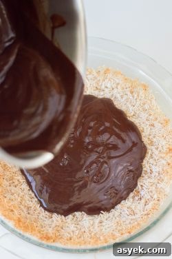 5-Ingredient Paleo Chocolate Pie Recipe with Coconut Crust 5 img 67705 5
