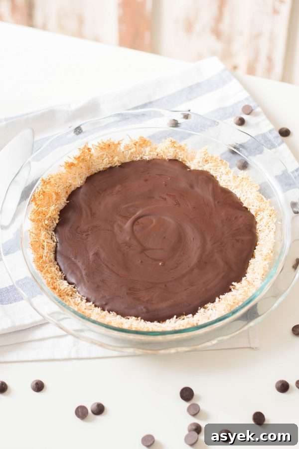 5-Ingredient Paleo Chocolate Pie Recipe with Coconut Crust 6 Paleo Chocolate Pie Recipe