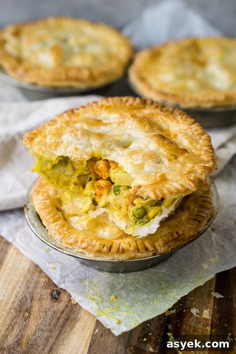 Vegetable Curry Pies