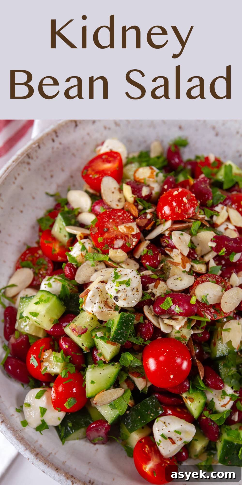Zesty Kidney Bean Salad with Lemon and Fresh Herbs 7 Close-up of bean salad with cherry tomatoes and cucumbers