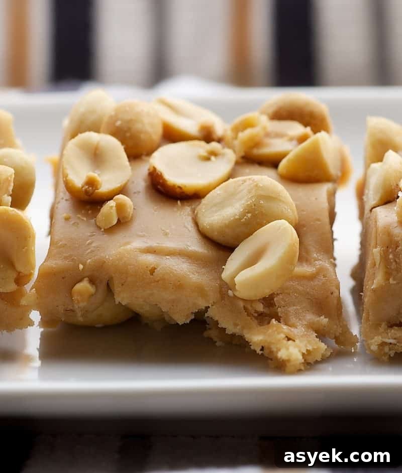 salted nut square