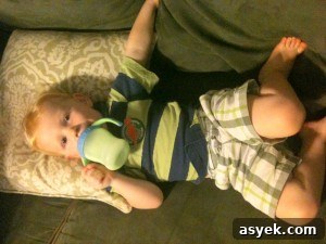 img 7695 1