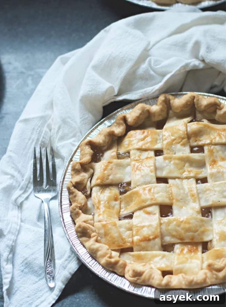 A look at the lattice top of an apple pie - How to Make Apple Pie with Apple Pie Filling