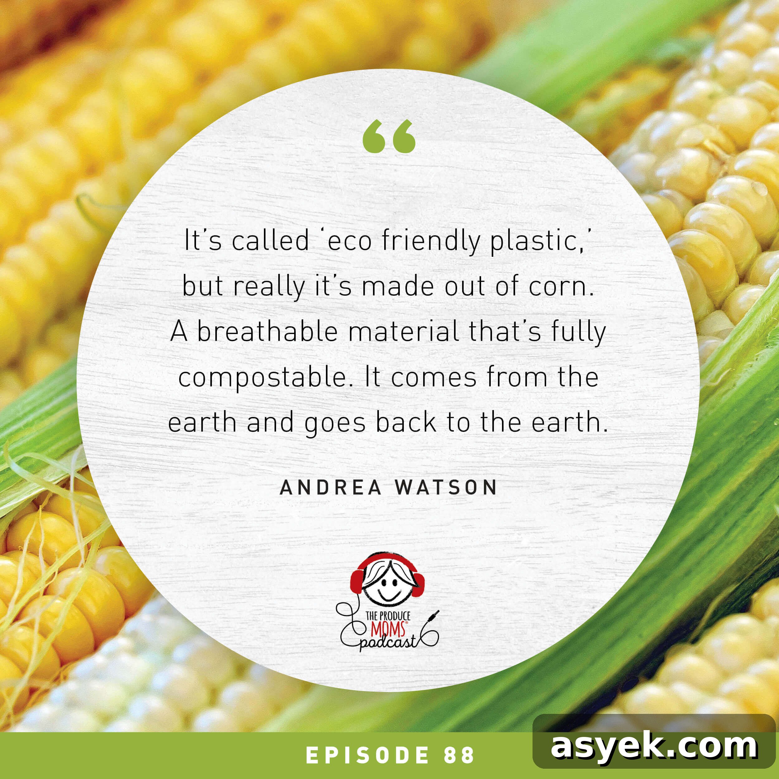 Episode 88: How to Eliminate Plastic Waste in Your Kitchen with Andrea Watson, Founder and Chief Brand Ambassador of Nature Knows