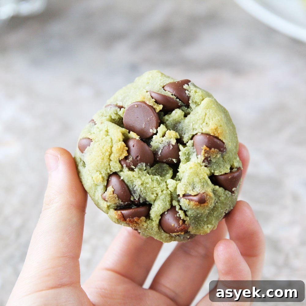 avocado chocolate chip cookie