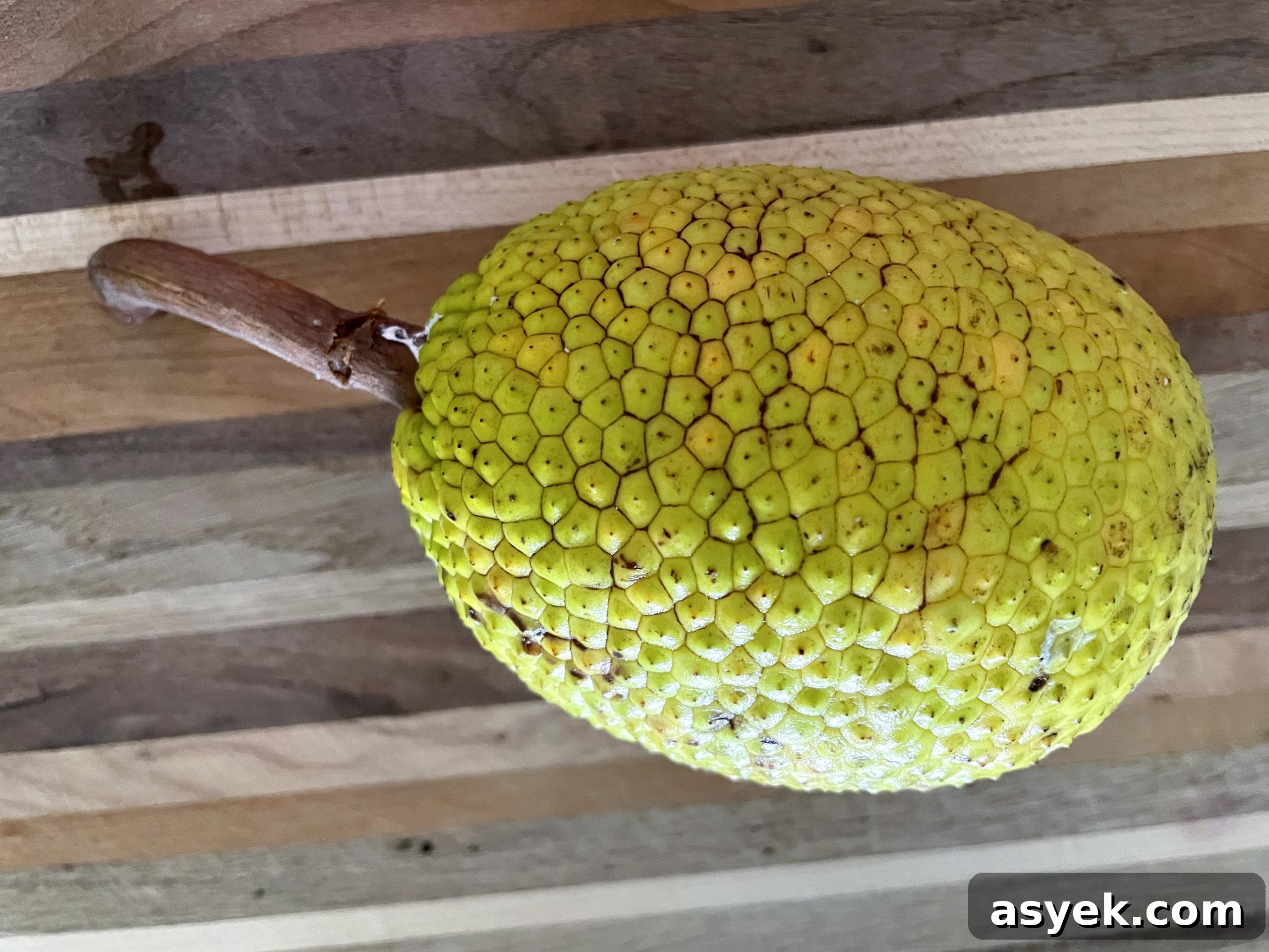 Raw breadfruit