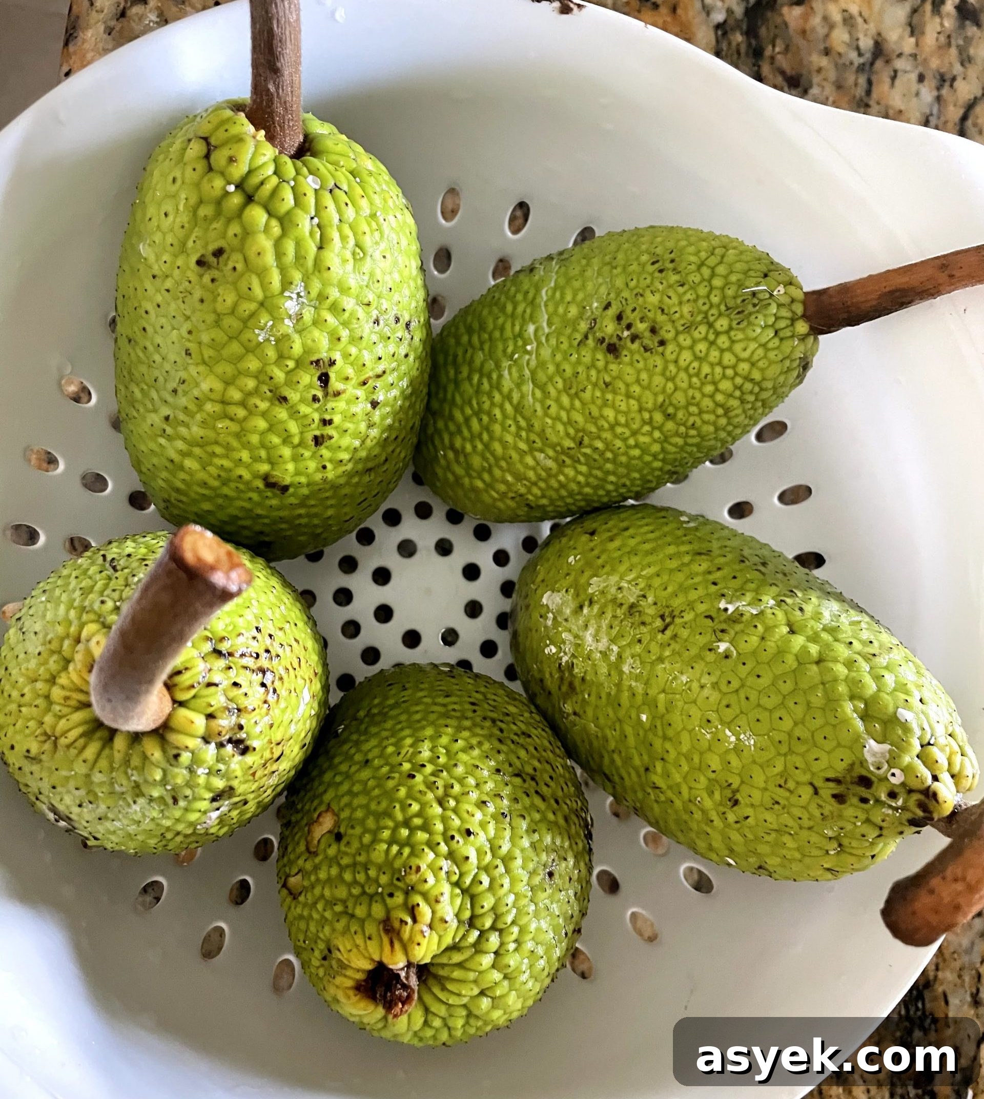 Green breadfruit