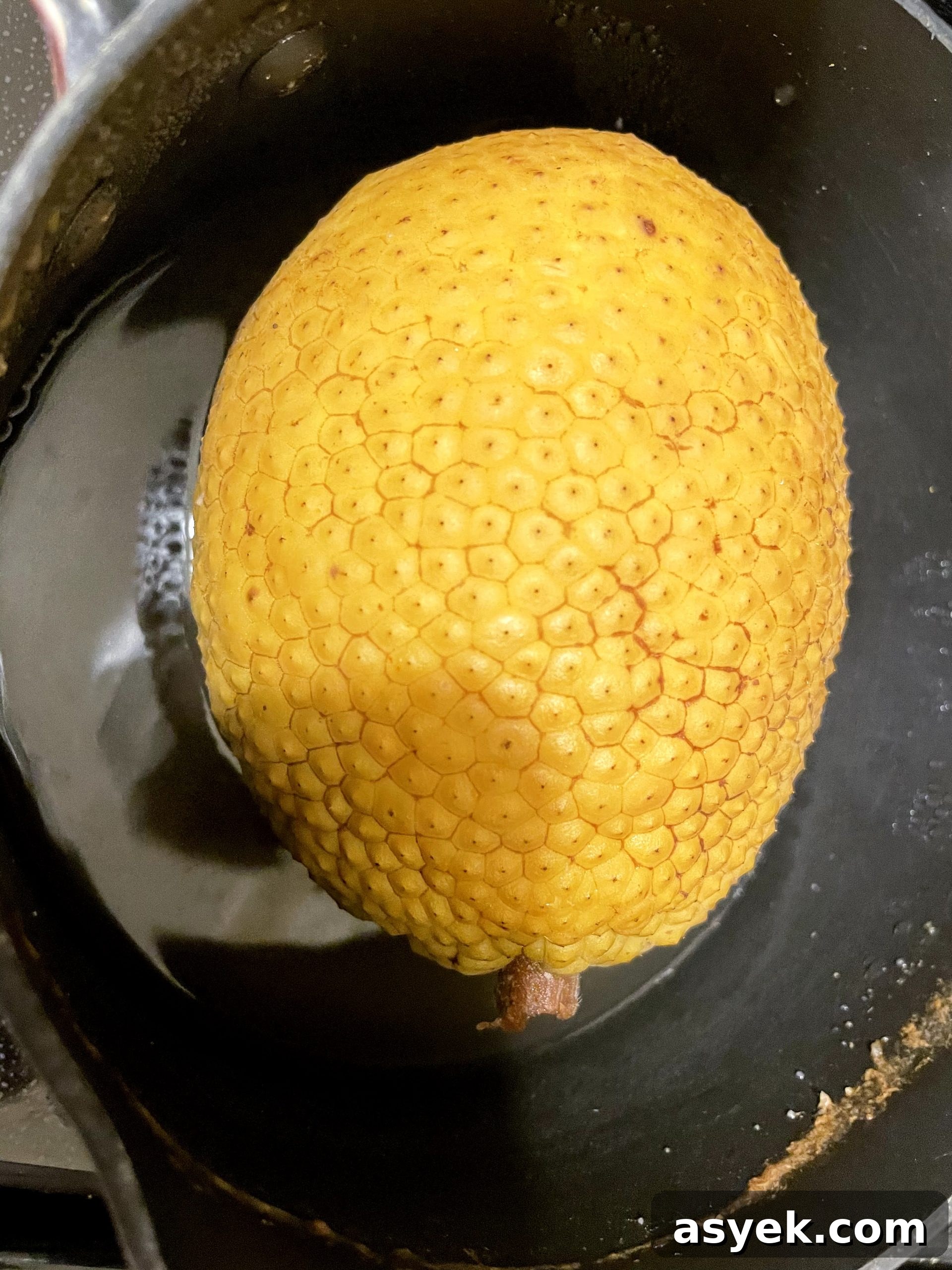 Boiled breadfruit