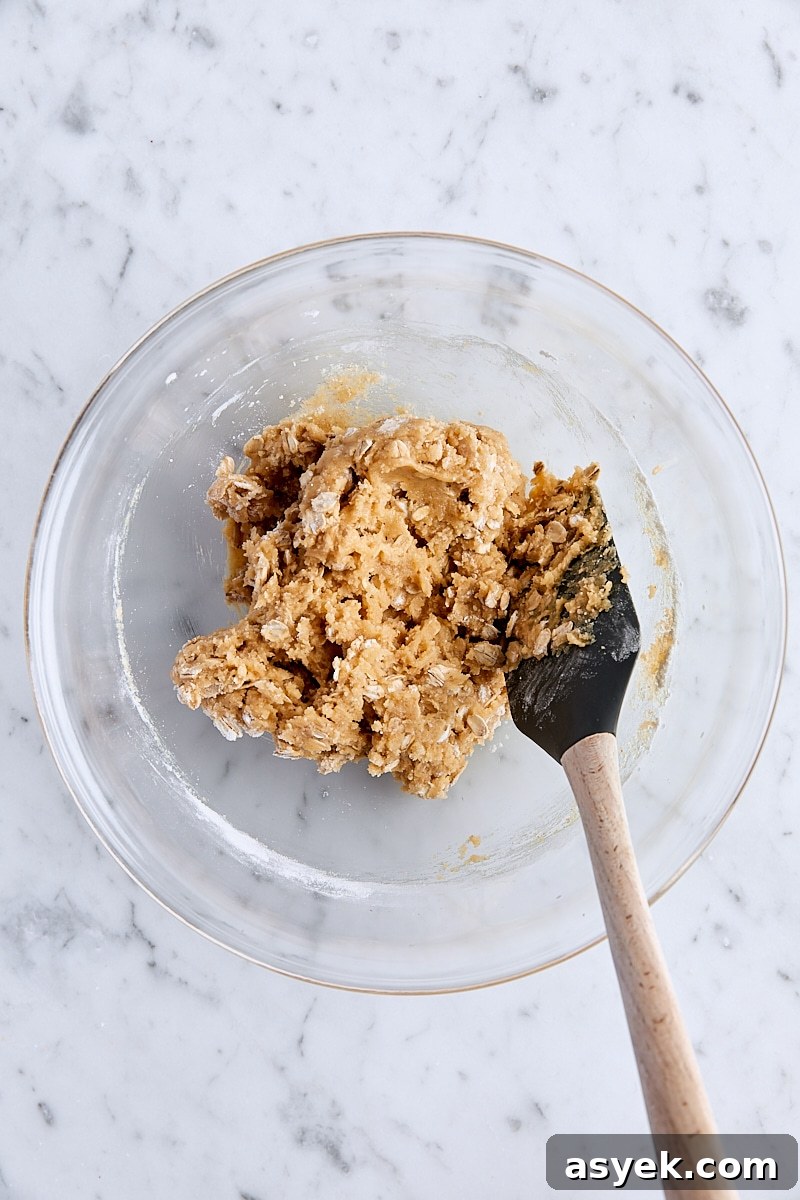 Small Batch Oatmeal Chocolate Chip Cookies Recipe 11 Dry ingredients folded into dough with a silicone spatula