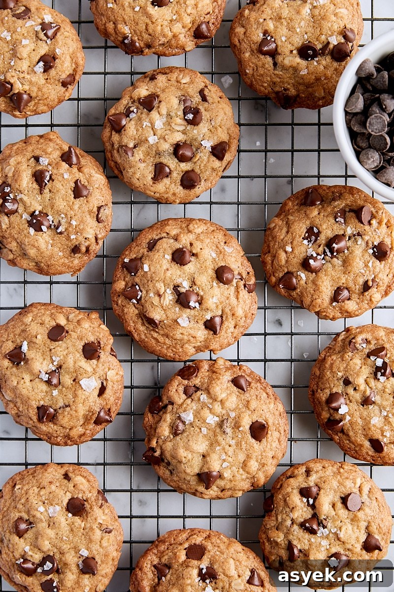 Small Batch Oatmeal Chocolate Chip Cookies Recipe 13 Baked oatmeal chocolate chip cookies on wire cooling rack