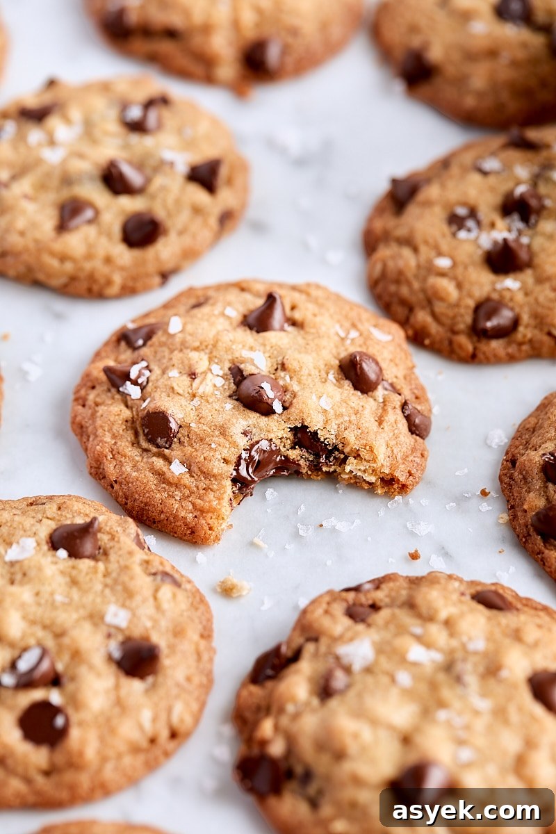 Small Batch Oatmeal Chocolate Chip Cookies Recipe 14 Small Batch Oatmeal Chocolate Chip Cookies