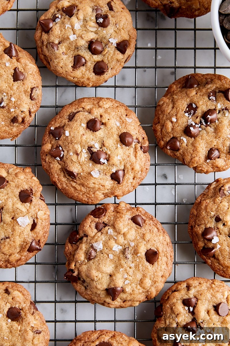 Small Batch Oatmeal Chocolate Chip Cookies Recipe 3 Small Batch Oatmeal Chocolate Chip Cookies
