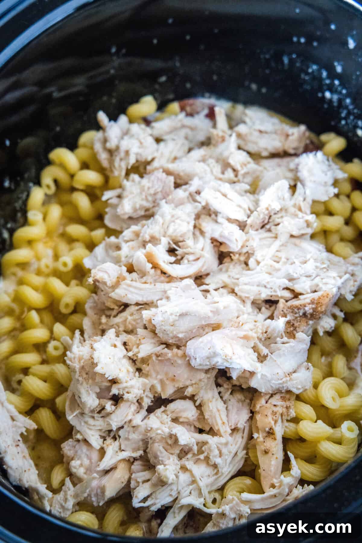 Shredded chicken and pasta added to Cajun sauce in a slow cooker.