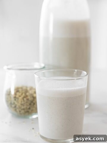 Hemp Milk