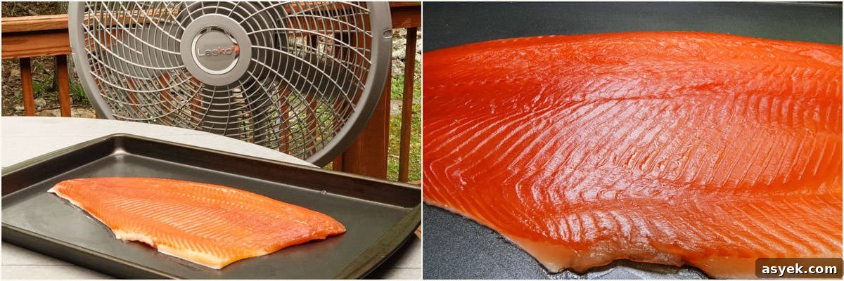 Trout in front of fan and close up picture of pellicle on trout