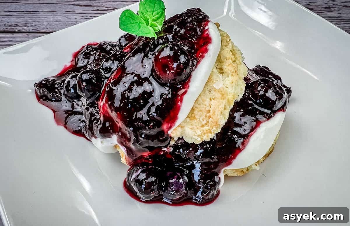 Close-up shot of Blueberry Shortcakes served on a white plate.