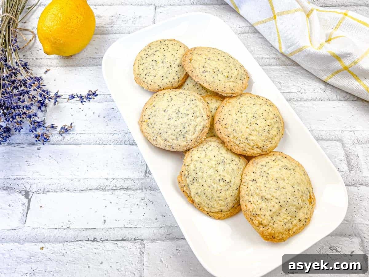 A top-down shot of Lemon Poppy Seed Cookies on a white plate.